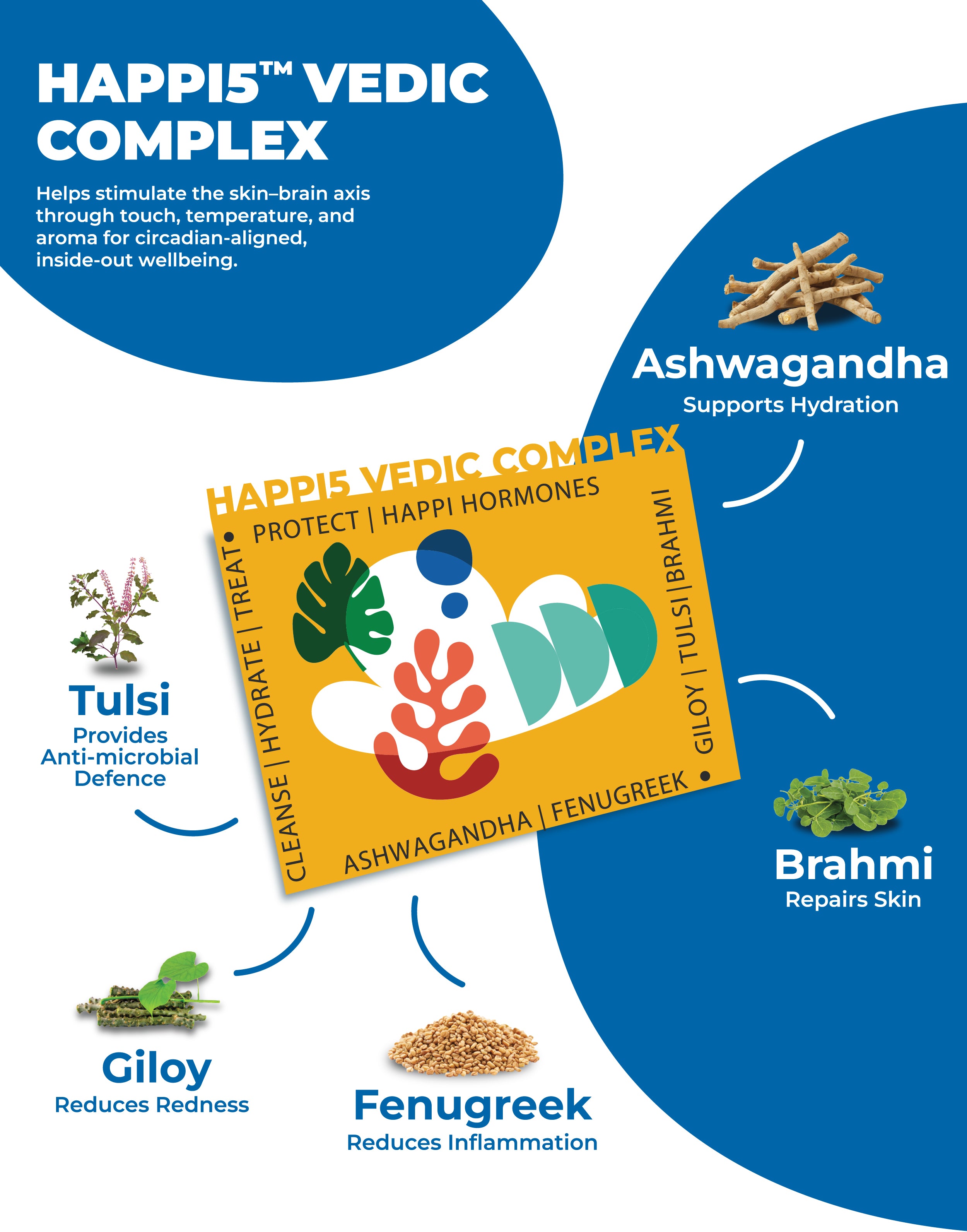 Bright on Time Face & Body Hydrating Cleanser Concentrate