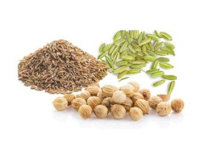 Metabolism Booster