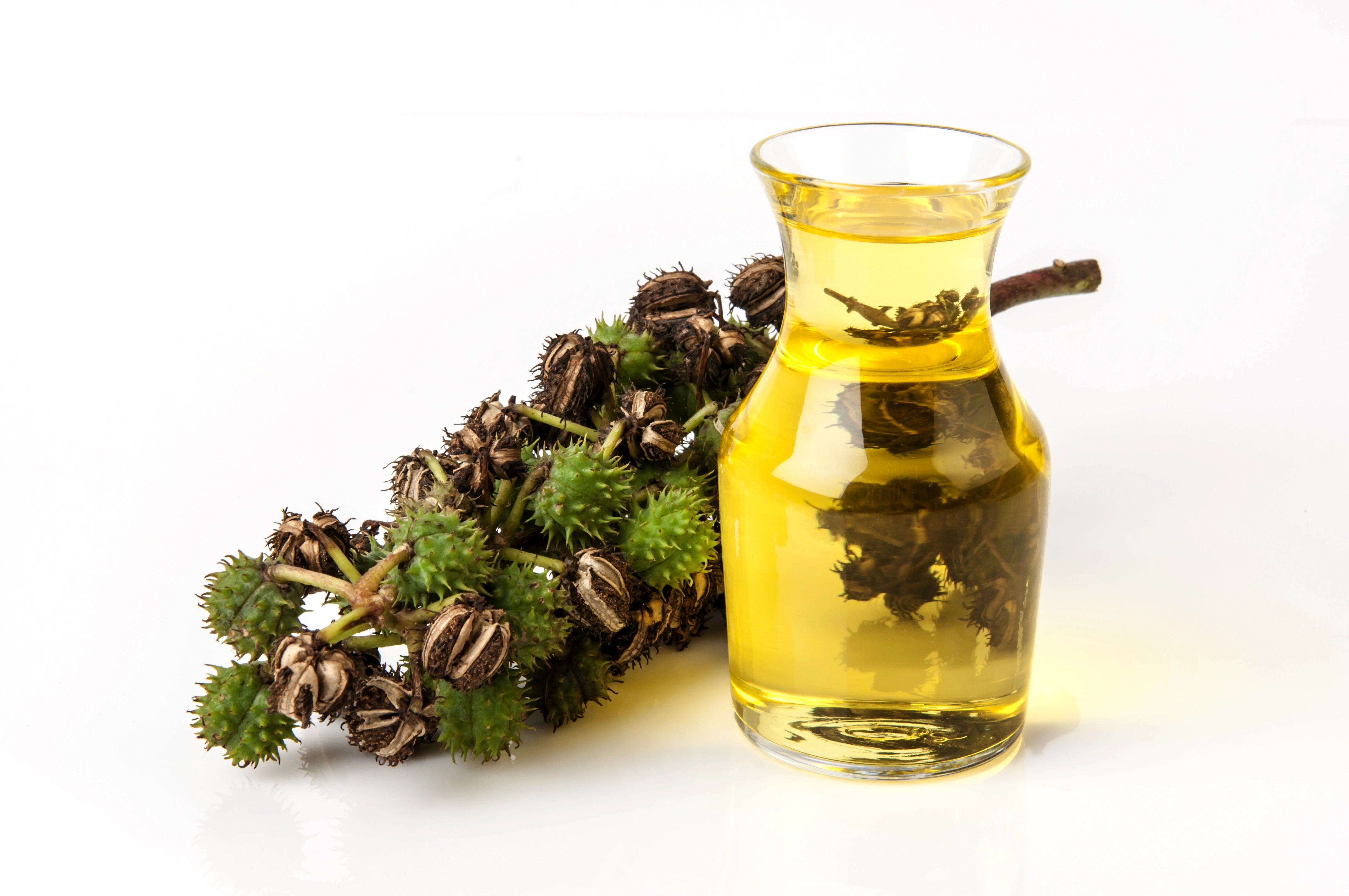 Castor oil